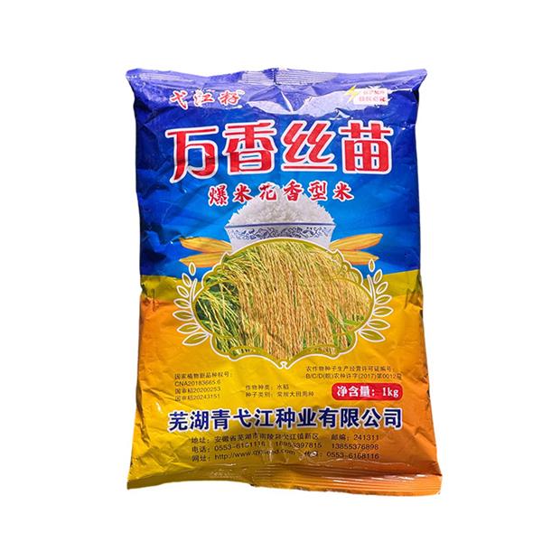 万香丝苗