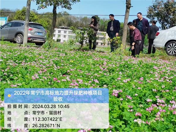 2022年常宁市高标地力提升绿肥种植项目验收